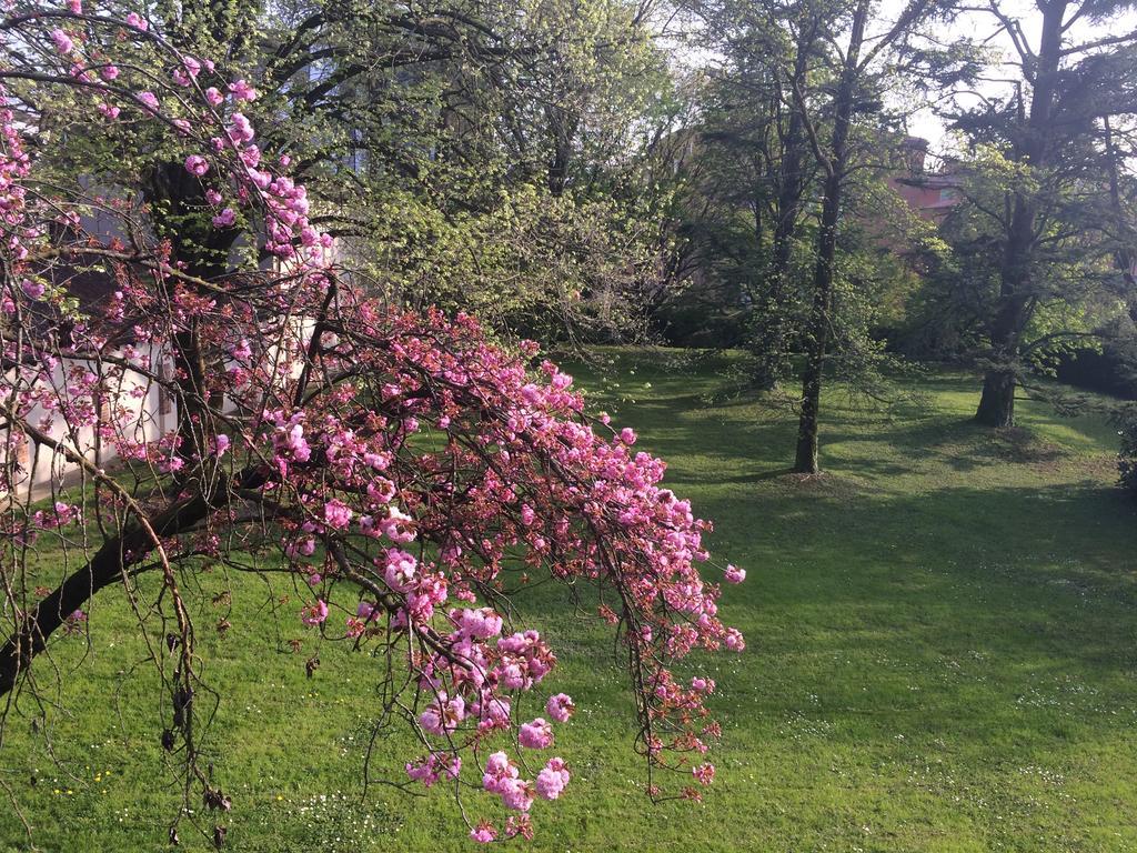 Il Cantelino Pádua Quarto foto