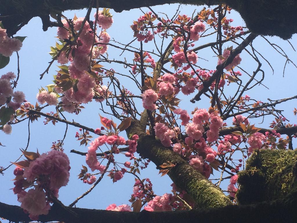 Il Cantelino Pádua Quarto foto